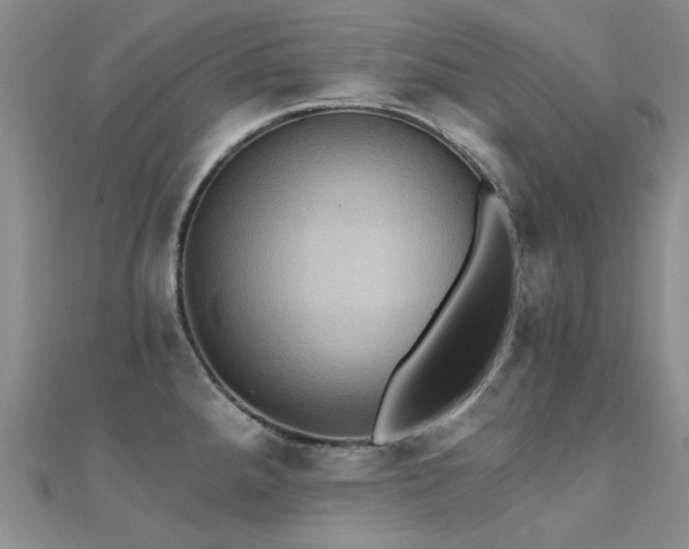 X0000112031288200908101330