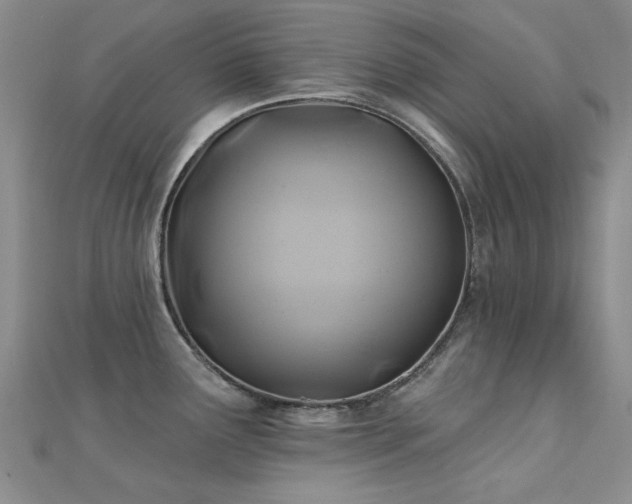 X0000112031291200908101330