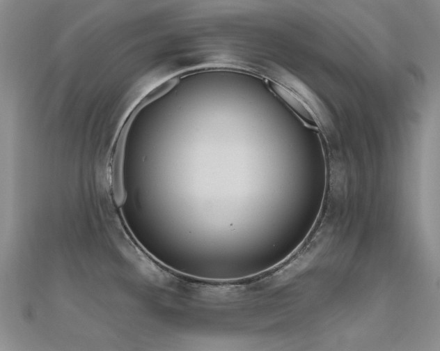 X0000112031292200908101330