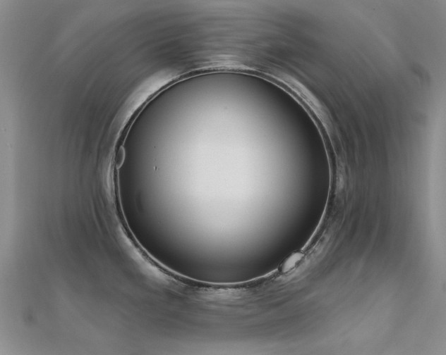 X0000112031293200908101330