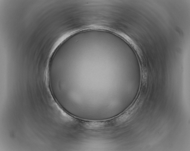 X0000112031294200908101330
