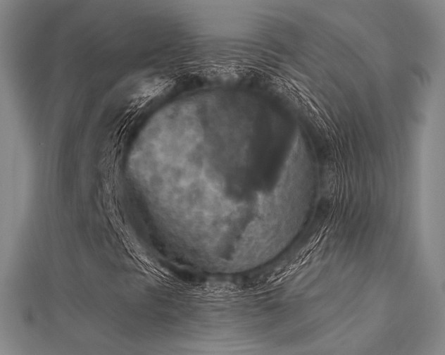 X0000112031297200908101329