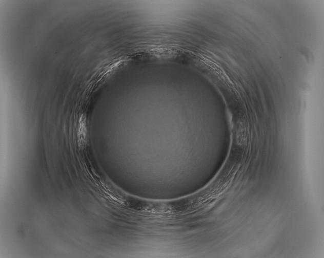 X0000112031298200908101329
