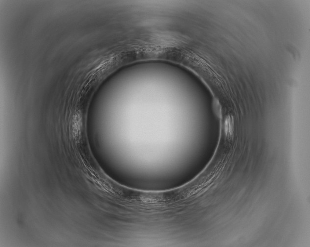 X0000112031299200908101329