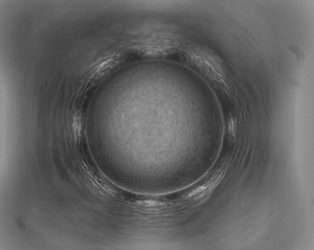 X0000112031300200908101329