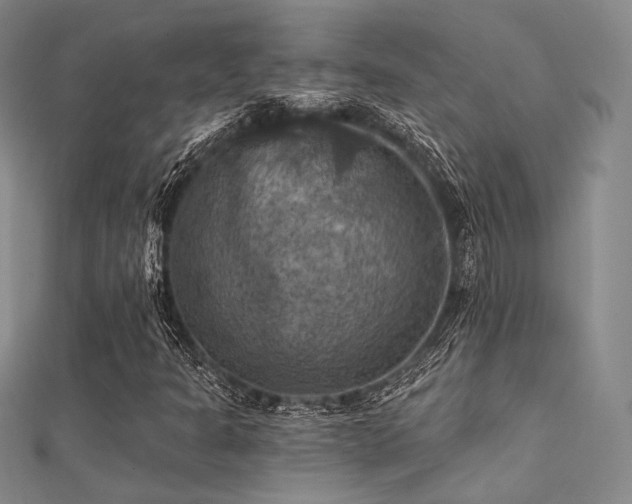 X0000112031301200908101329