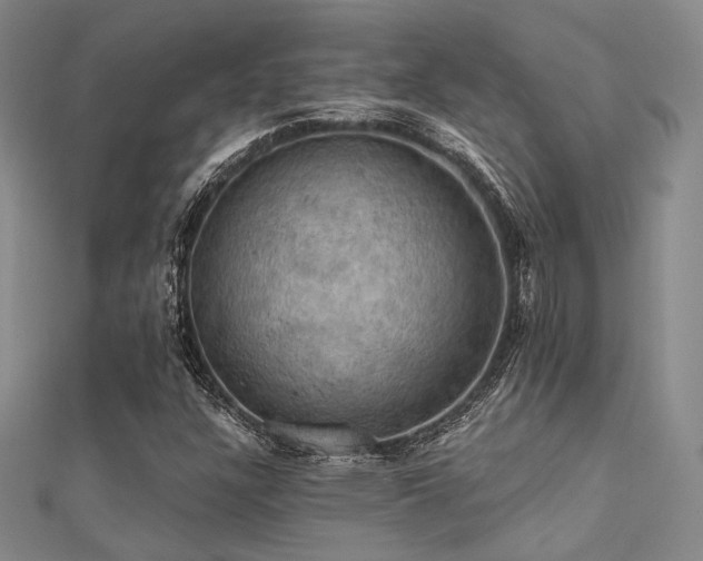 X0000112031304200908101329