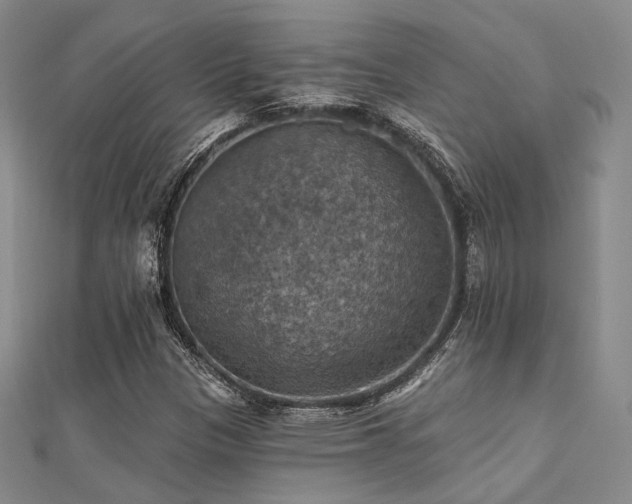 X0000112031305200908101329