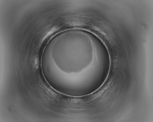 X0000112031306200908101329