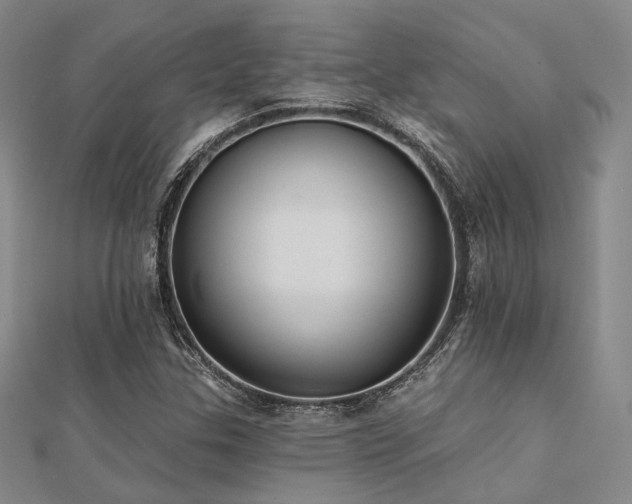 X0000112031307200908101329