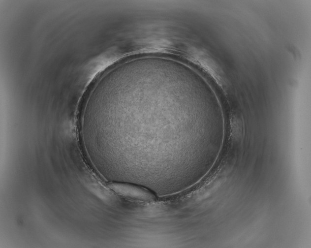 X0000112031308200908101329