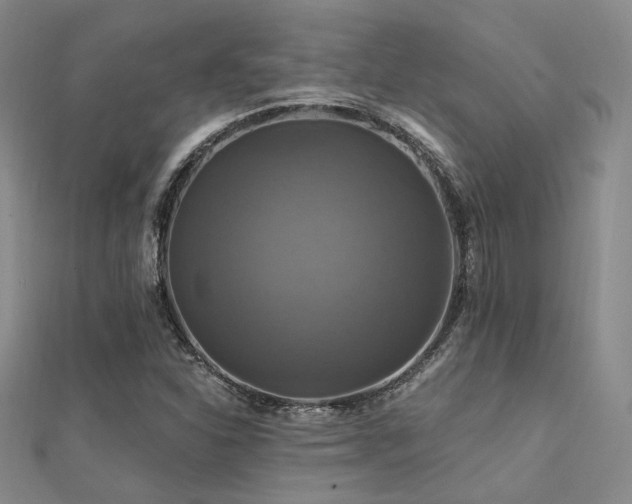 X0000112031310200908101329