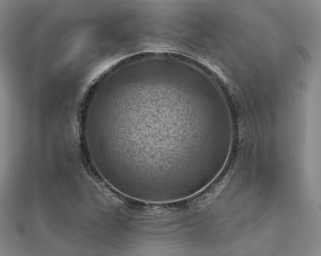 X0000112031311200908101329