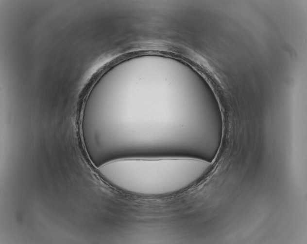 X0000112031312200908101329