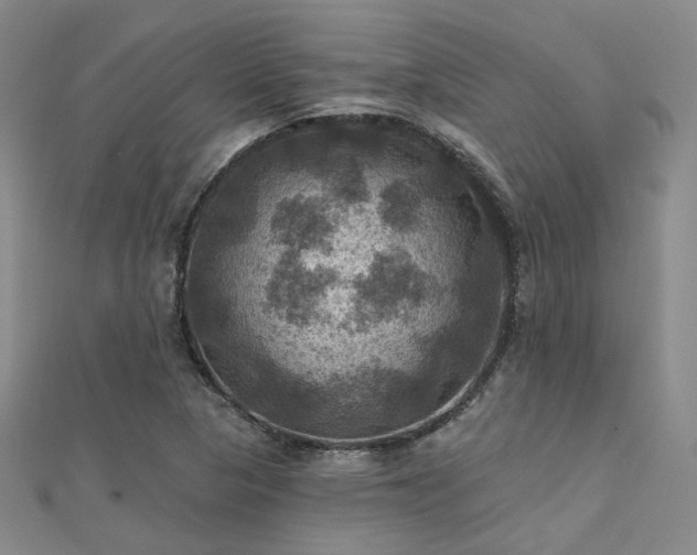 X0000112031313200908101329