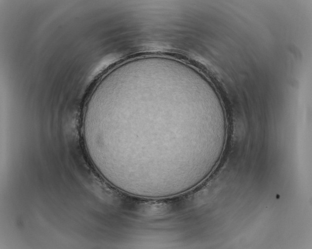 X0000112031314200908101329