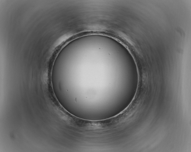 X0000112031315200908101329