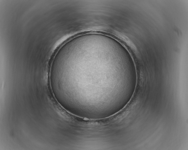 X0000112031316200908101329