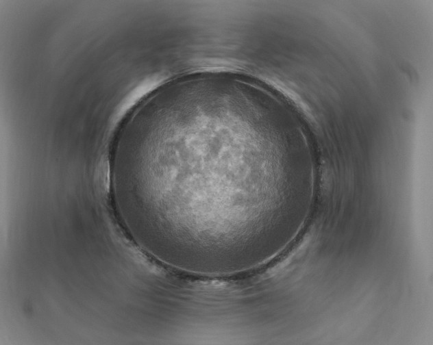 X0000112031317200908101329