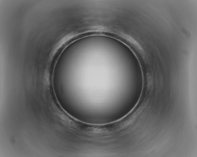 X0000112031318200908101329