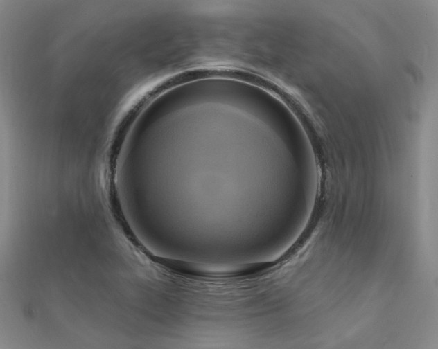 X0000112031319200908101330