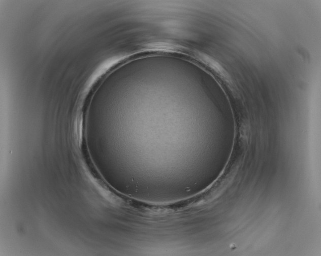 X0000112031323200908101330