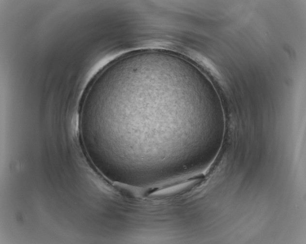 X0000112031324200908101330