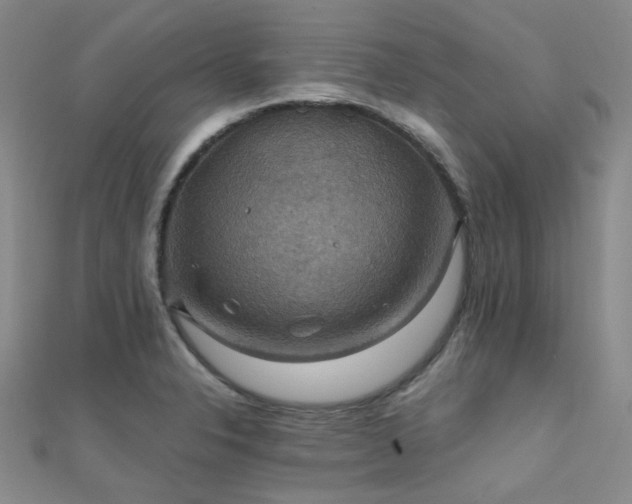 X0000112031326200908101330