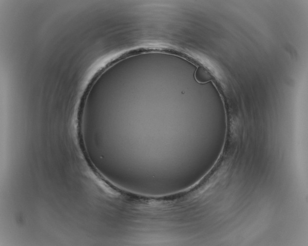 X0000112031327200908101330