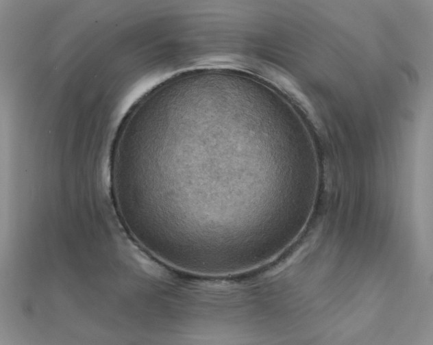 X0000112031328200908101330