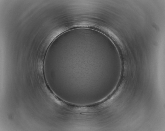 X0000112031329200908101330