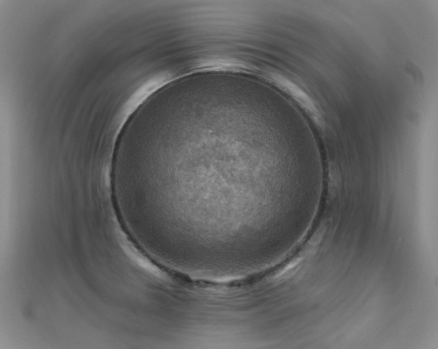 X0000112031330200908101330