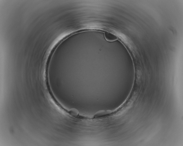 X0000112031331200908101330