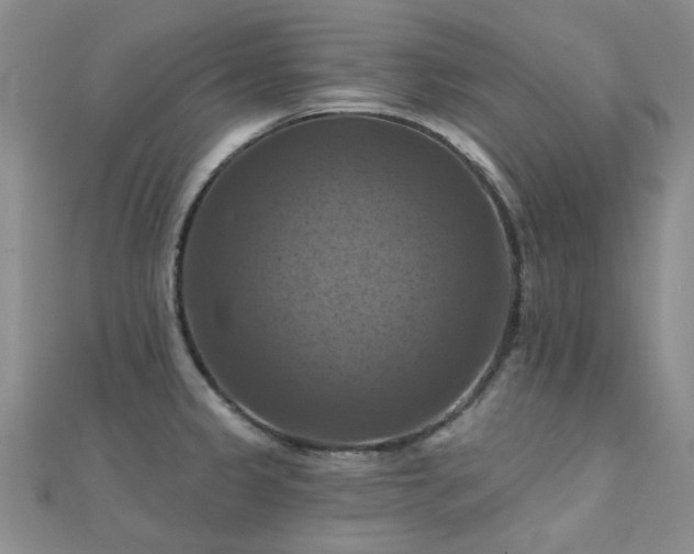 X0000112031333200908101330