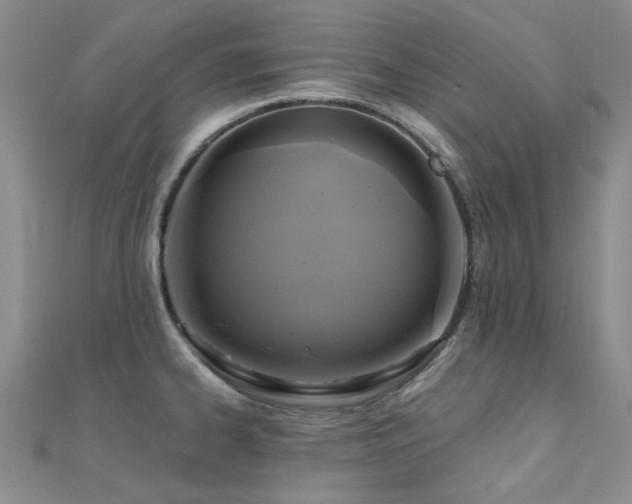 X0000112031334200908101330