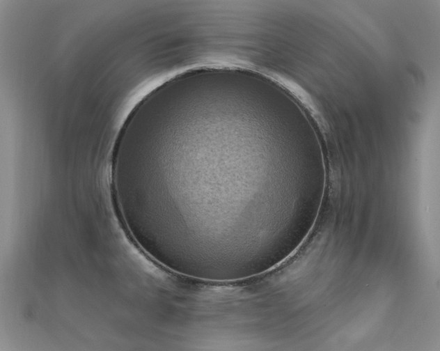 X0000112031335200908101330