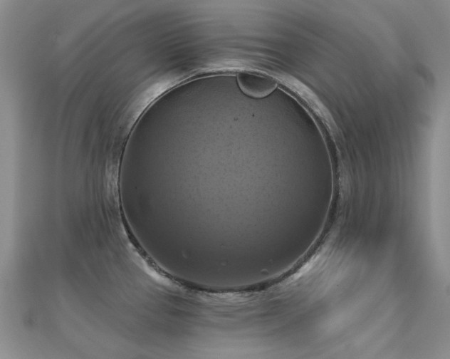 X0000112031337200908101330