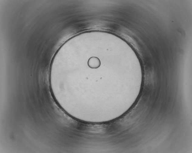 X0000112031338200908101330