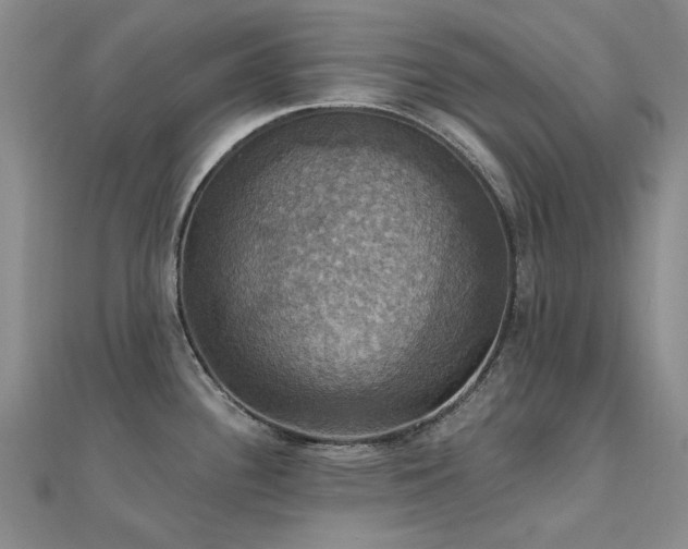 X0000112031340200908101330