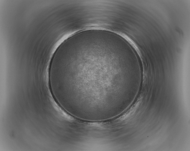 X0000112031341200908101330