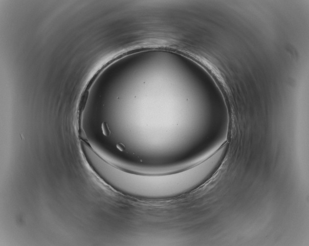 X0000112031342200908101330