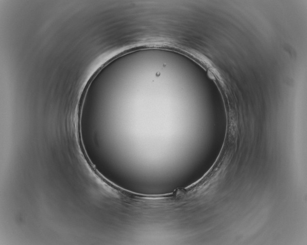 X0000112031343200908101330