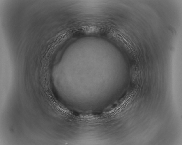 X0000112031345200908101329