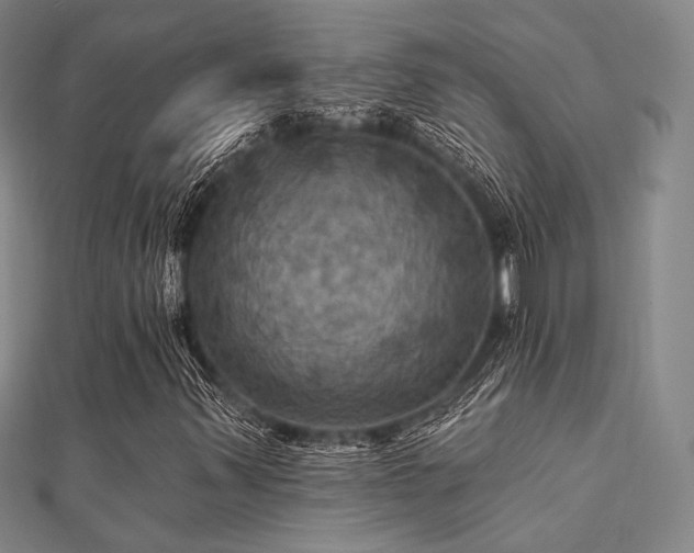 X0000112031347200908101329