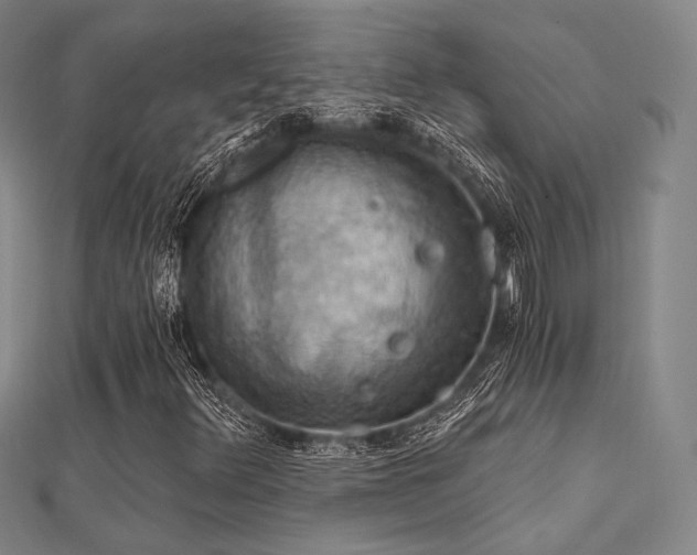 X0000112031348200908101329
