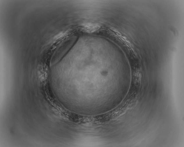 X0000112031349200908101329