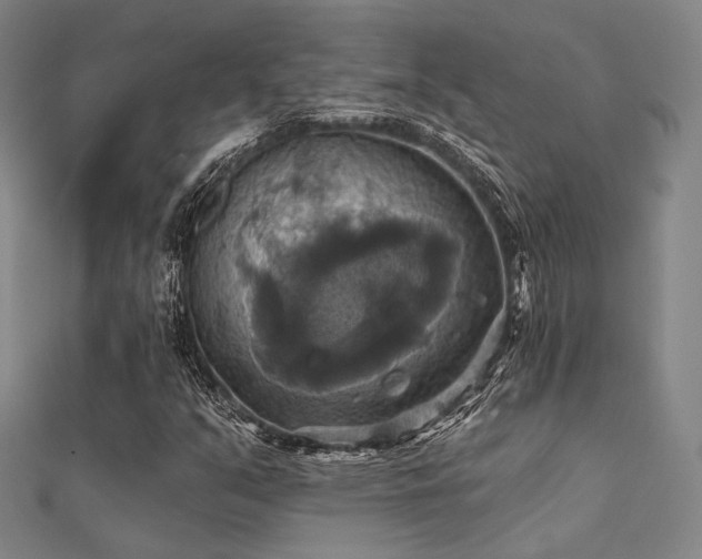 X0000112031351200908101329