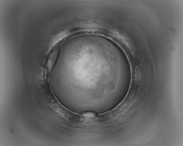 X0000112031352200908101329