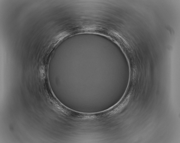X0000112031353200908101329