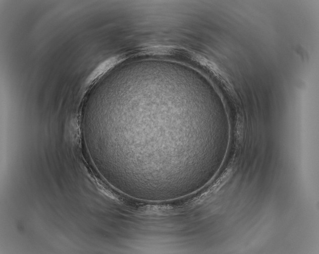 X0000112031354200908101329